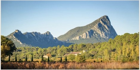 De Pic Saint-Loup boven het groene landschap van de Languedoc